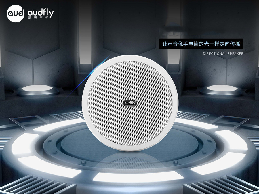 清聽聲學定向音箱R2